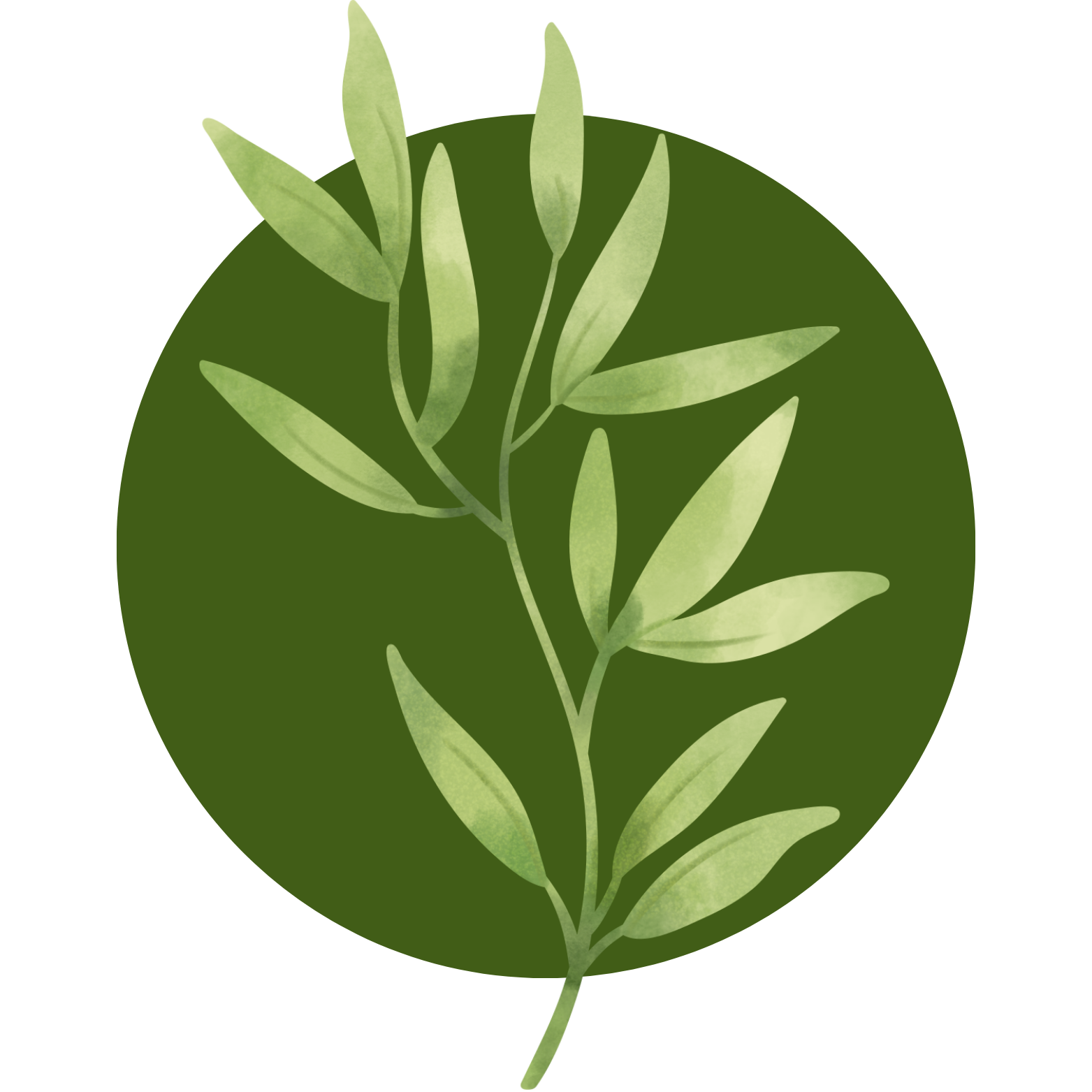 Branches Christian Cooperative